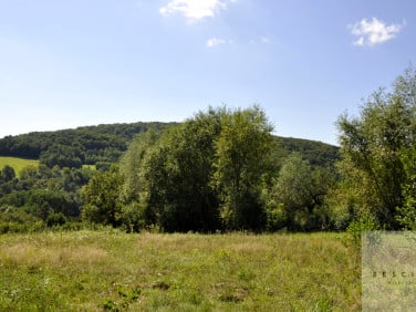 Działka budowlana Pleśna sprzedam