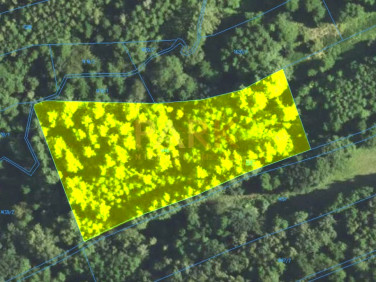 Działka leśna Albigowa