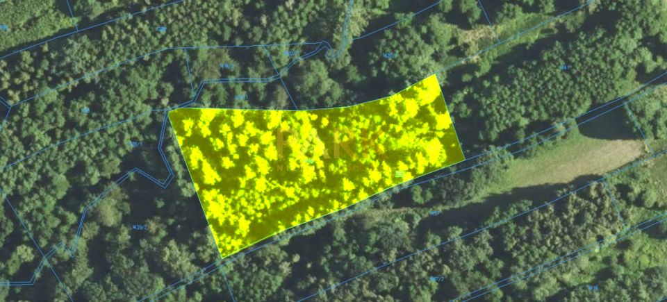 Działka leśna Albigowa