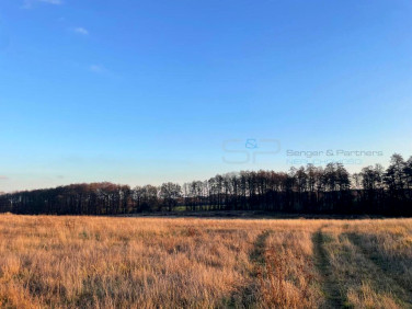 Działka budowlana Poznań