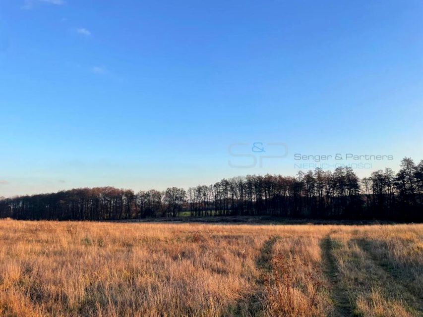 Działka budowlana Poznań