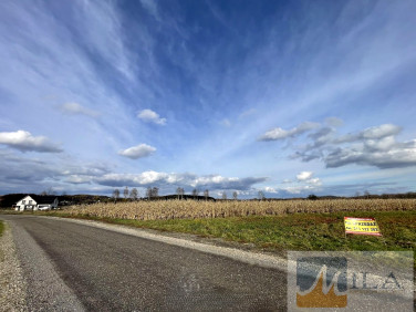 Działka nad jeziorem