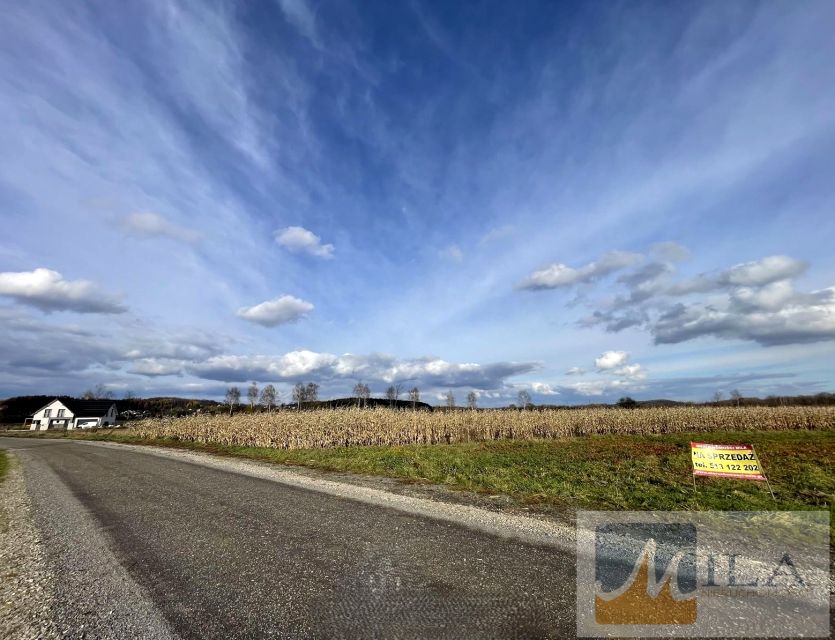 Działka nad jeziorem