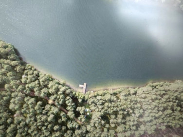 Działka leśna Prądzonka