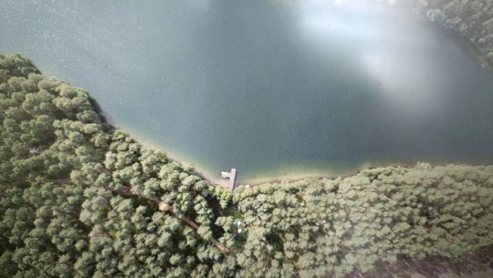 Działka leśna Prądzonka