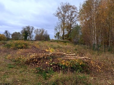 Działka budowlano-rolna Marianowo