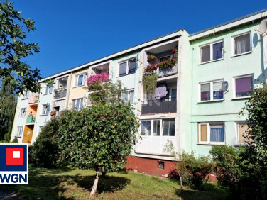 Mieszkanie Pasterzowice