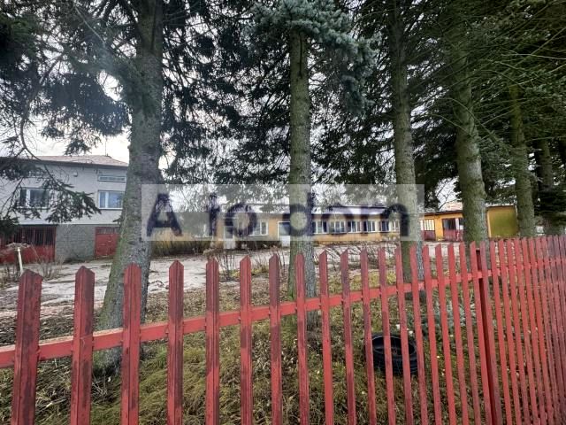 Zdjęcie 2