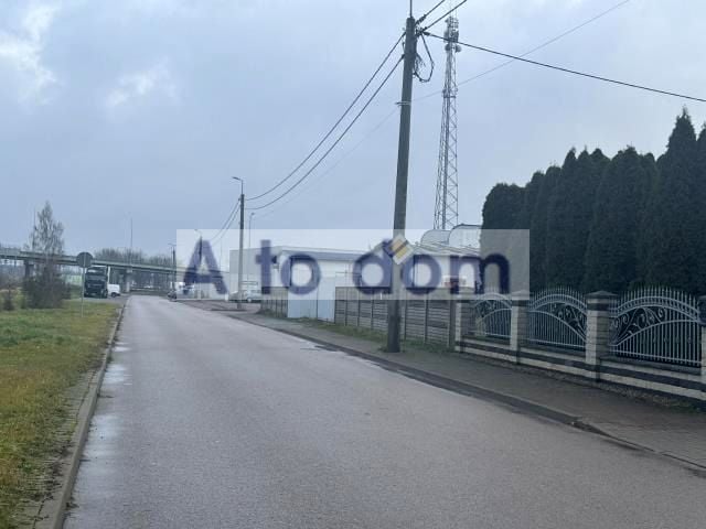 Zdjęcie 3