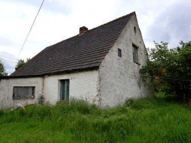 Dom Przemków sprzedaż