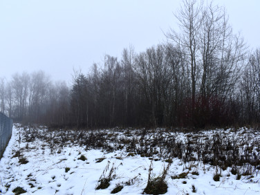 Działka rolna Trygort