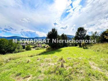 Pusta działka Lipowa