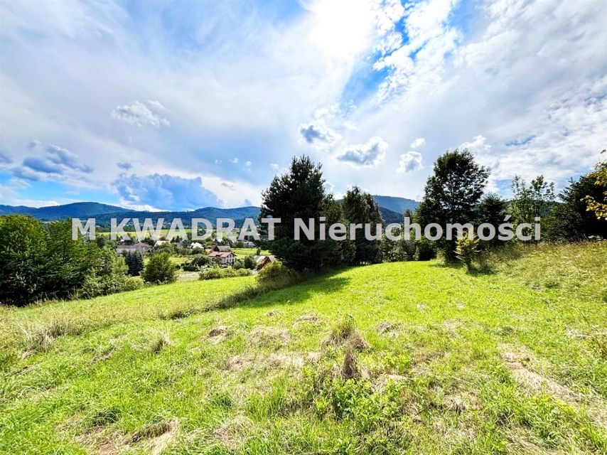 Pusta działka Lipowa