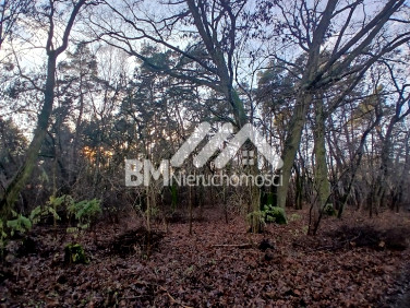 Działka Książenice