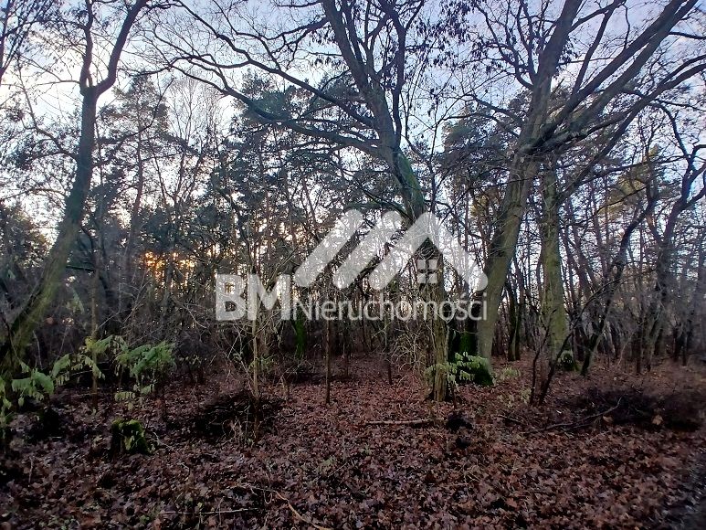 Działka Książenice