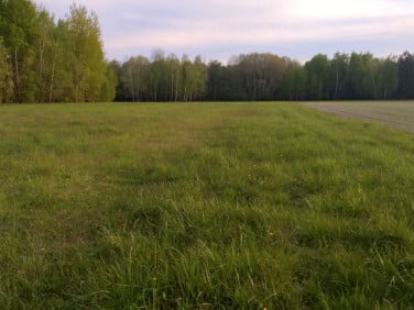 Działka siedliskowa Rafałówka