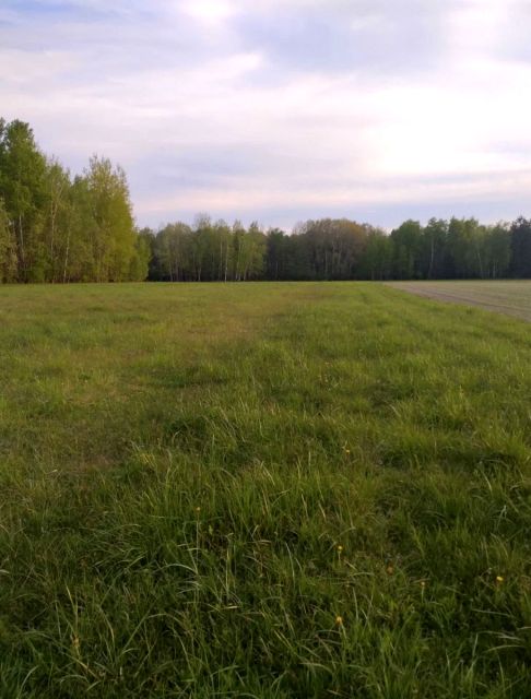 Działka siedliskowa Rafałówka