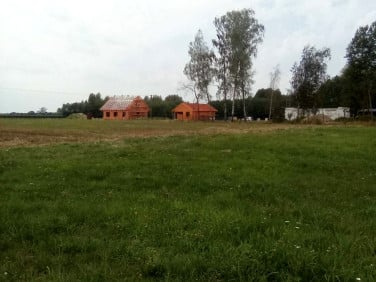 Działka siedliskowa Rafałówka sprzedam