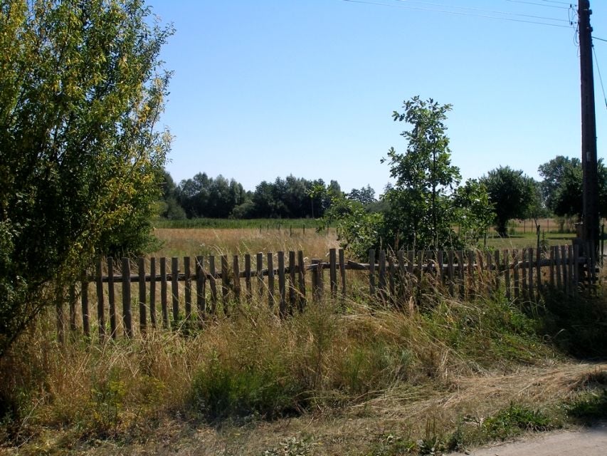 Zdjęcie 2