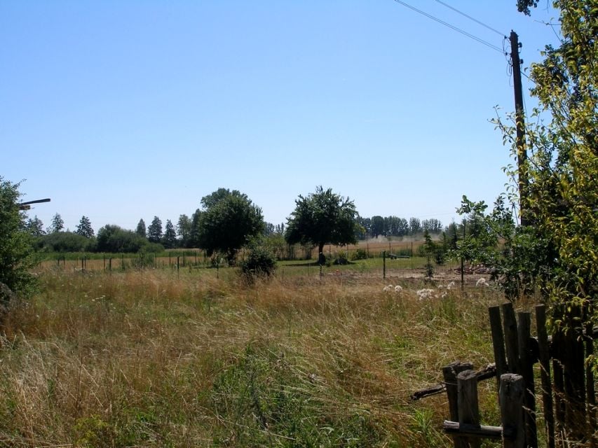 Zdjęcie 3