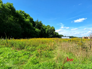 Działka budowlana Murzynowo