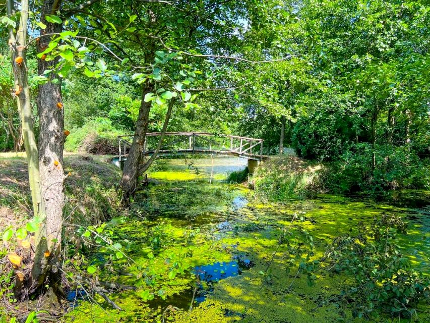 Działka budowlana Boguszków