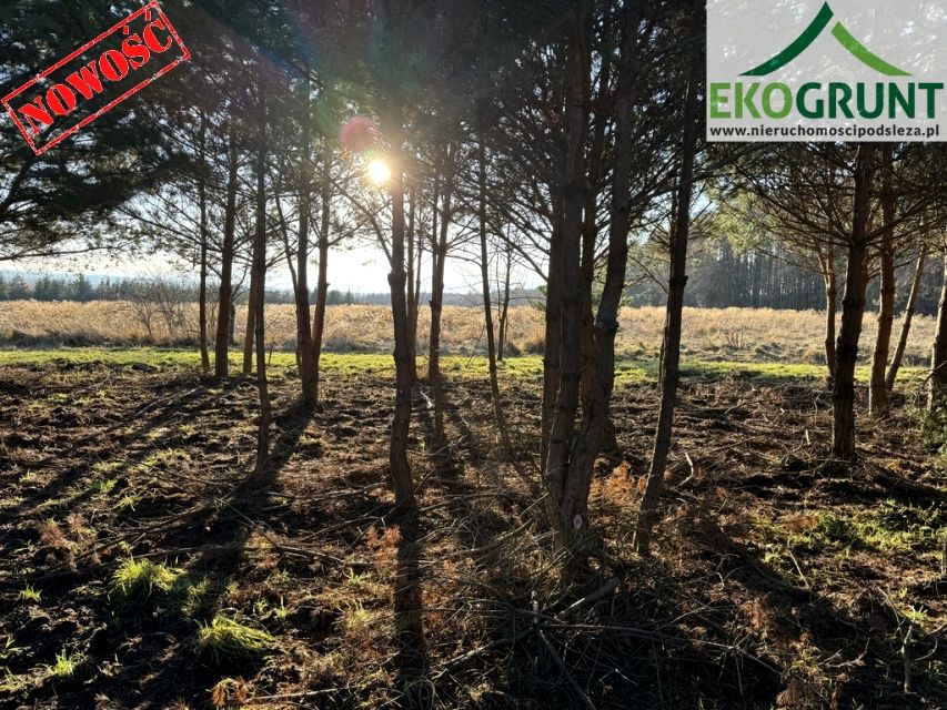 Działka rekreacyjna Słupice