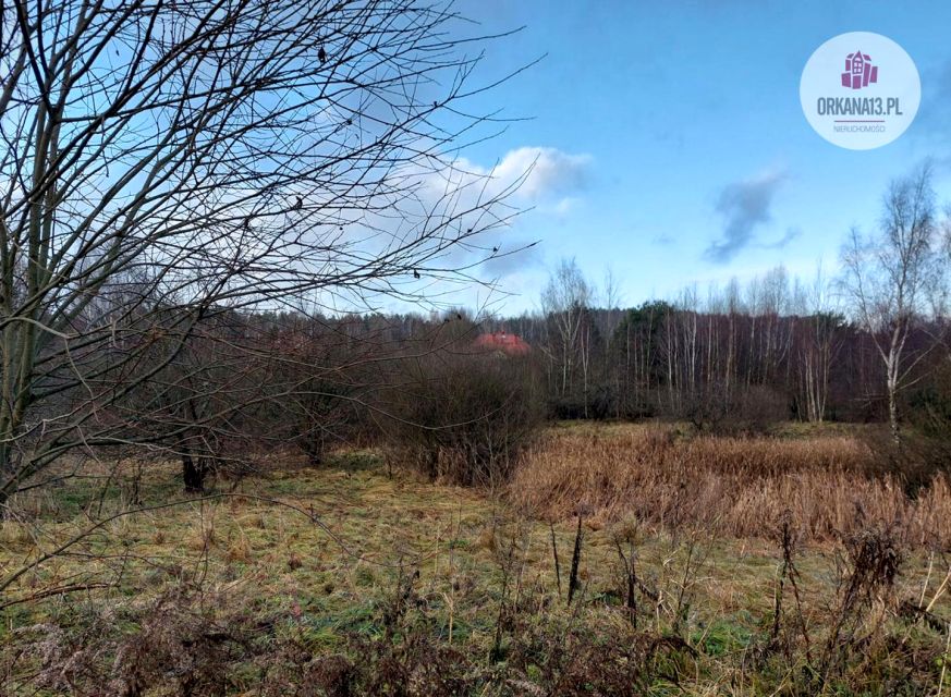 Zdjęcie 2