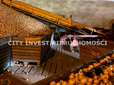 Zabudowana działka Międzyrzecz