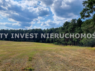 Działka siedliskowa Dąbrowa