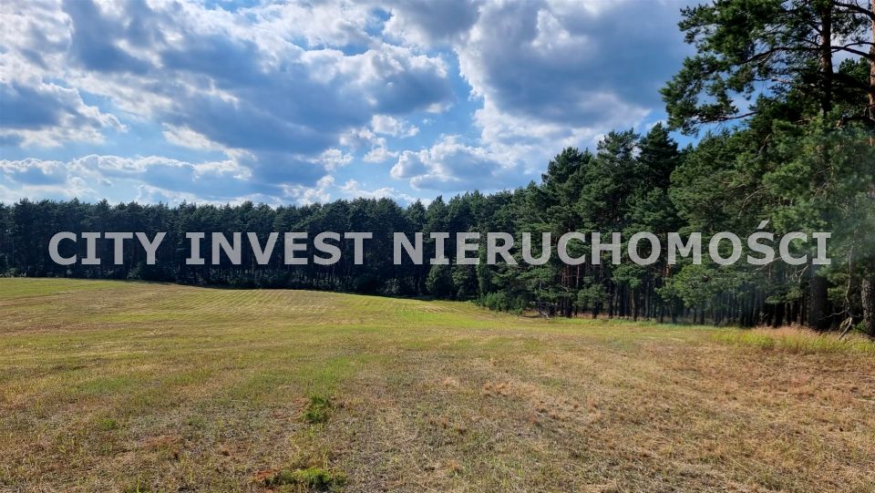 Działka siedliskowa Dąbrowa