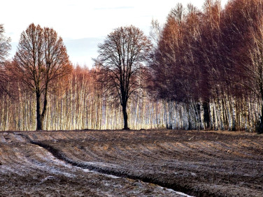 Działka budowlana Jaktorów sprzedam