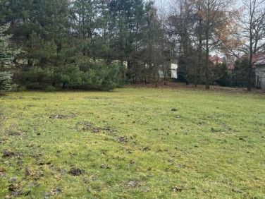 Działka czernichów