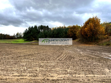 Działka Mściszewice