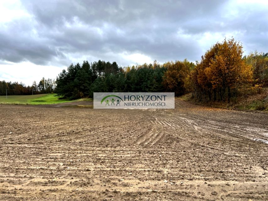 Działka Mściszewice