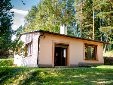 Dom Czchów sprzedaż