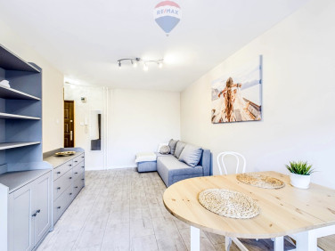 Mieszkanie blok mieszkalny wynajem