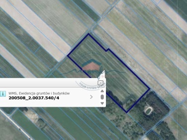 Działka Tyniewicze Duże