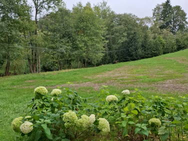 Działka budowlana Banica