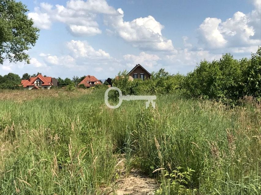 Zdjęcie 3