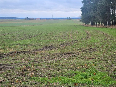 Działka rolna Kadłub Turawski