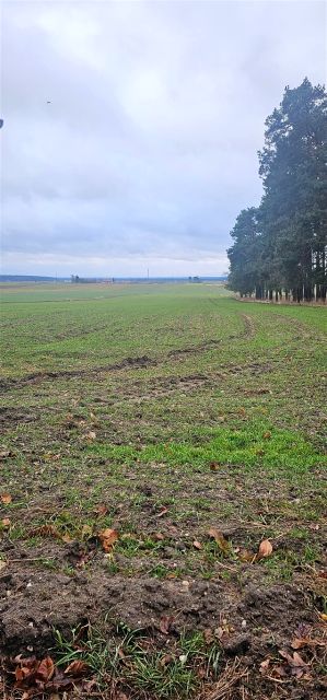 Działka rolna Kadłub Turawski