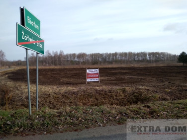 Działka Żółwia Błoć