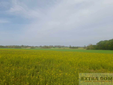 Działka inwestycyjna sprzedam