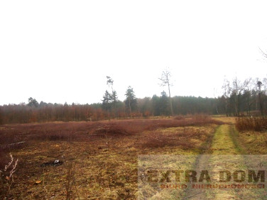 Działka budowlana Nowogard