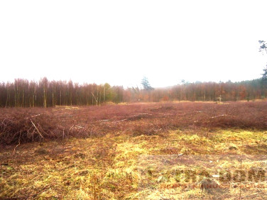 Działka budowlana Nowogard