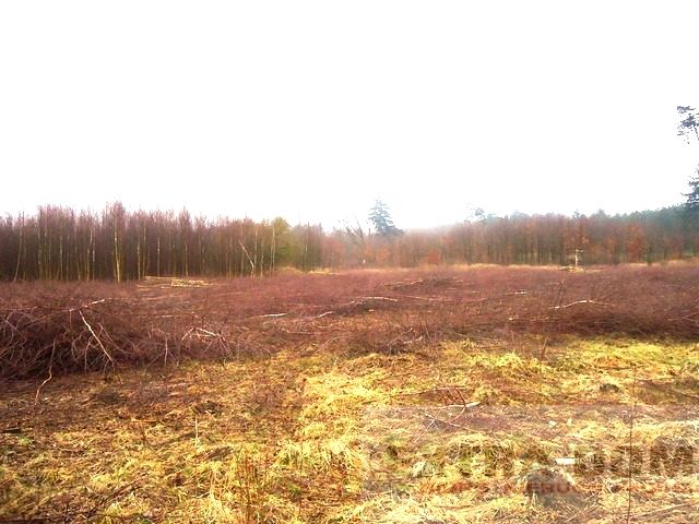 Działka budowlana Nowogard