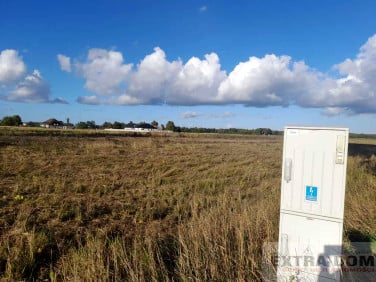 Działka inwestycyjna Lubczyna