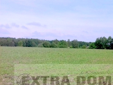 Działka Łosośnica