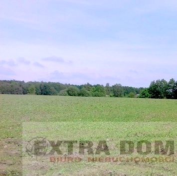 Działka Łosośnica